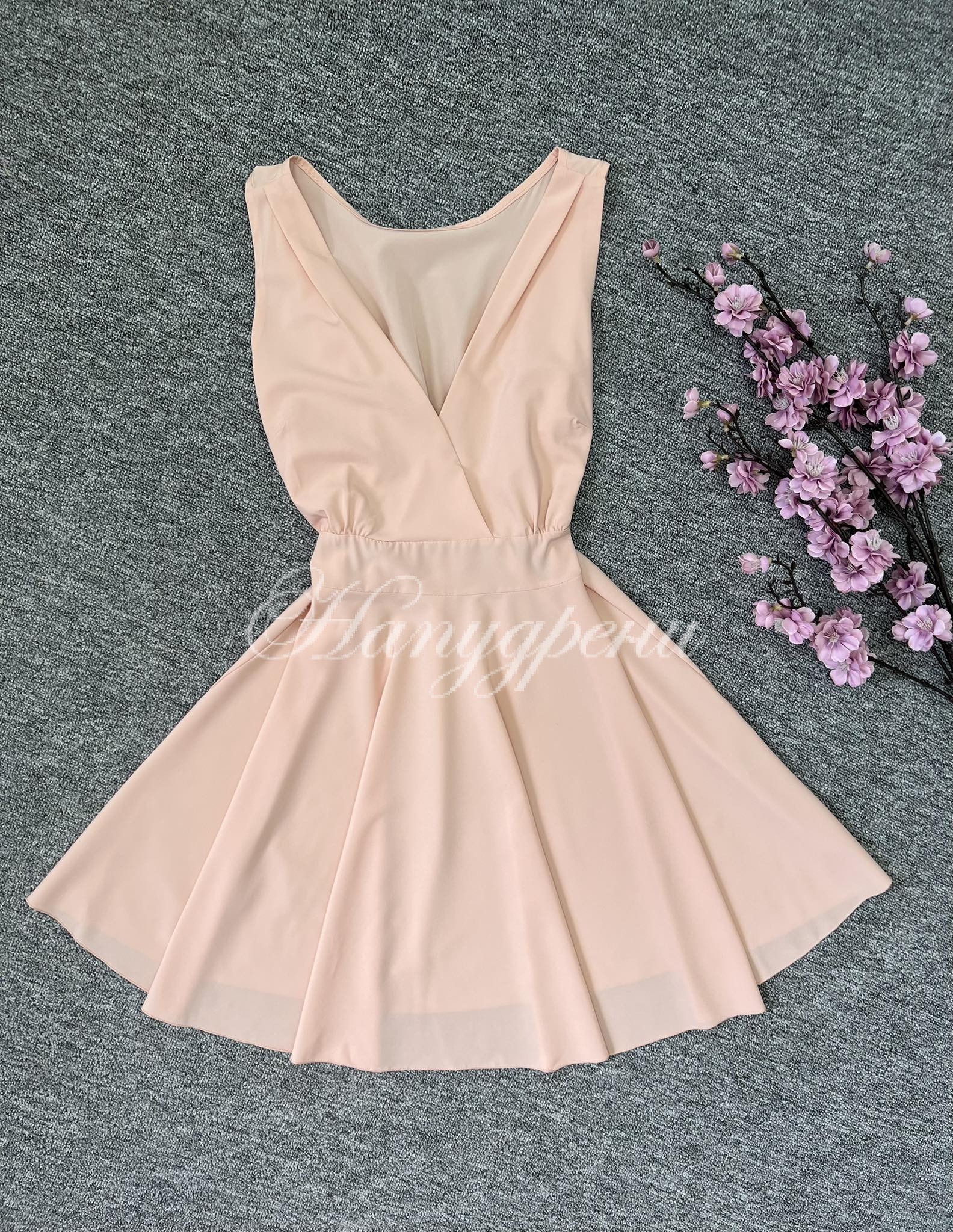 355564896_1895646807481842_7512821883146481670_n